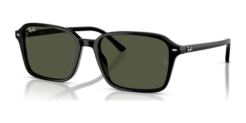 Ray-Ban RAIMOND RB2231 Sunglasses / Black №901/31 / G-15 Green (3N 13.2%) / Size 56