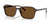 Ray-Ban RAIMOND RB2231 Sunglasses / Havana №902/57