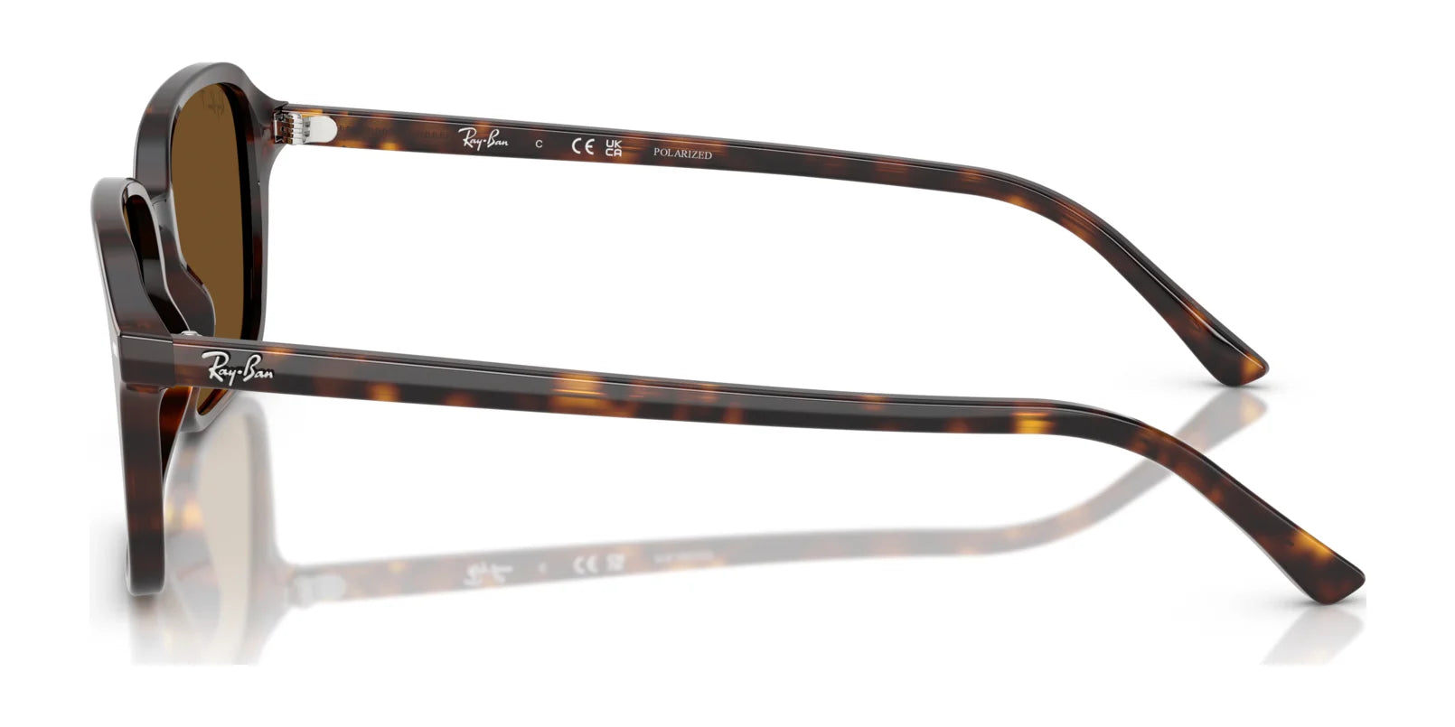 Side view of tortoiseshell Ray-Ban RAIMOND RB2231 sunglasses with brown polarized lenses, featuring the iconic logo displayed on the temples.