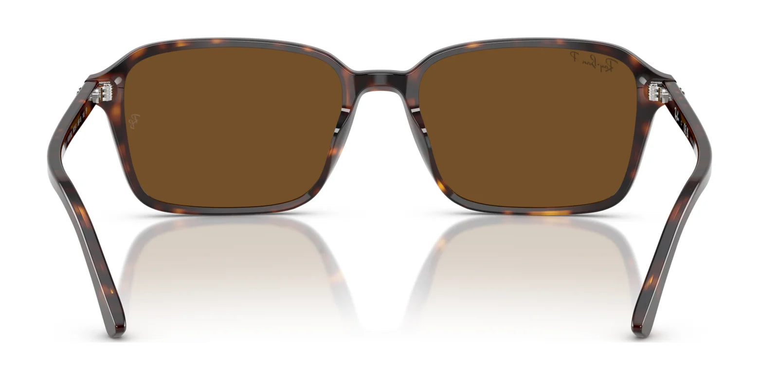 Back view of full-rim Ray-Ban RAIMOND RB2231F Sunglasses, size 56, with tortoiseshell frames and brown lenses on a reflective surface, showcasing the timeless style of classic Ray-Bans.