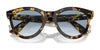 Ray-Ban WAYFARER WAY RB2241 Sunglasses / Black №901/31 / Green (3N 13.2%) / Size 51