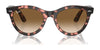 Ray-Ban WAYFARER WAY RB2241 Sunglasses / Black №901/31 / Green (3N 13.2%) / Size 51