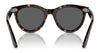 Ray-Ban WAYFARER WAY RB2241 Sunglasses / Black №901/31 / Green (3N 13.2%) / Size 51