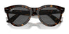 Ray-Ban WAYFARER WAY RB2241 Sunglasses / Black №901/31 / Green (3N 13.2%) / Size 51