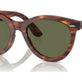 Striped Havana №954/58