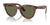 Ray-Ban WAYFARER WAY RB2241 Sunglasses / Striped Havana №954/58