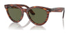 Ray-Ban WAYFARER WAY RB2241F Sunglasses | Size 54 / Striped Havana №954/58 / Green (Polarized) (3P 11%)