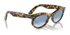 Ray-Ban WAYFARER OVAL RB2242 Sunglasses / Photo Waves Grey №138331 / Green (3N 13.2%) / Size 53