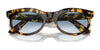 Ray-Ban WAYFARER OVAL RB2242 Sunglasses / Photo Waves Grey №138331 / Green (3N 13.2%) / Size 53