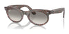 Ray-Ban WAYFARER OVAL RB2242 Sunglasses / Photo Waves Grey №138331 / Green (3N 13.2%) / Size 53
