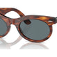 Striped Havana №954/3R