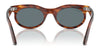 Ray-Ban WAYFARER OVAL RB2242 Sunglasses / Photo Waves Grey №138331 / Green (3N 13.2%) / Size 53