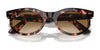 Ray-Ban WAYFARER OVAL RB2242F Sunglasses | Size 53 / Havana №902/R5 / Blue (3N 10.7%)