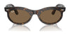 Ray-Ban WAYFARER OVAL RB2242F Eyeglasses | Size 53 / Havana №902/GI / Clear/Brown (Photochromic) (3F 13.66%)