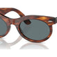 Striped Havana №954/3R