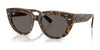 Ray-Ban DOREEN RB2286 Sunglasses / Havana On Transparent Brown №1292B1 / Dark Grey (3N 15.30%) / Size 49
