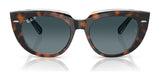 Ray-Ban DOREEN RB2286 Sunglasses