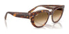 Ray-Ban DOREEN RB2286 Sunglasses / Black №901/31 / G-15 Green (3N 13.2%) / Size 49