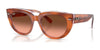 Ray-Ban DOREEN RB2286 Sunglasses / Red Havana On Transparent Multicolor №1415A5 / Pink Gradient Brown (3N 15.5%) / Size 49