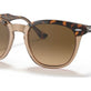 Havana On Transparent Brown №1292M2