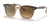 Ray-Ban HAWKEYE RB2298 Sunglasses / Havana On Transparent Brown №1292M2