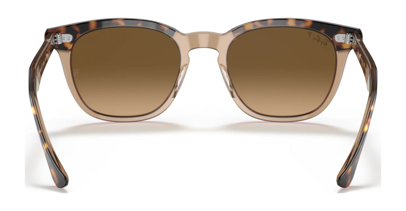 Ray-Ban HAWKEYE RB2298 Sunglasses