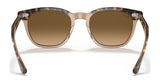 Ray-Ban HAWKEYE RB2298 Sunglasses