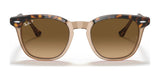 Ray-Ban HAWKEYE RB2298 Sunglasses