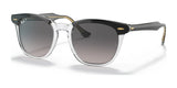 Ray-Ban HAWKEYE RB2298 Sunglasses