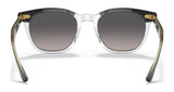 Ray-Ban HAWKEYE RB2298 Sunglasses