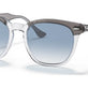 Grey On Transparent №13553F