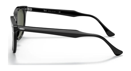 Ray-Ban HAWKEYE RB2298 Sunglasses