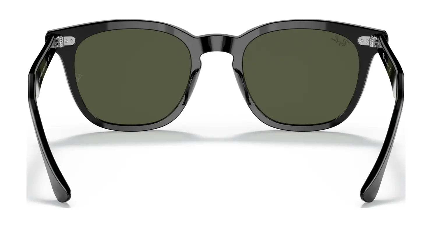 Ray-Ban HAWKEYE RB2298 Sunglasses