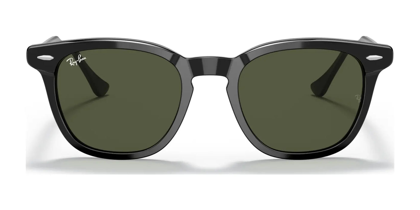 Ray-Ban HAWKEYE RB2298 Sunglasses