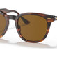 Striped Havana №954/33