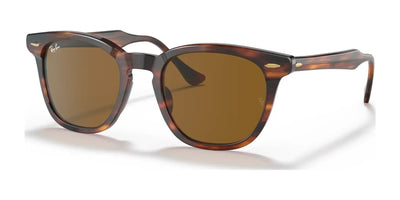Ray-Ban HAWKEYE RB2298 Sunglasses Striped Havana / Brown