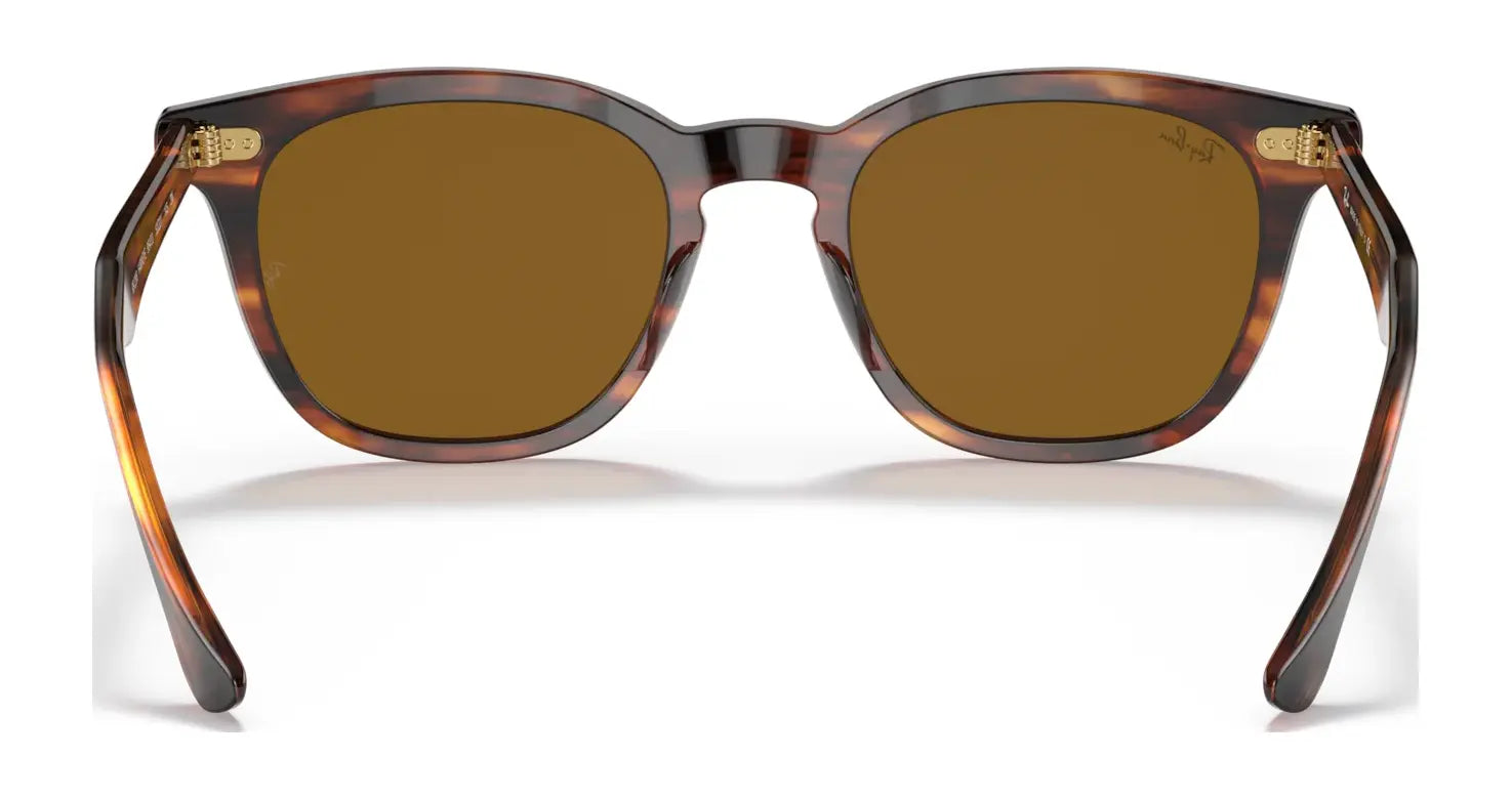 Ray-Ban HAWKEYE RB2298 Sunglasses