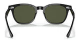 Ray-Ban HAWKEYE RB2298F Sunglasses | Size 54