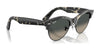 Ray-Ban CLUBMASTER WAY RB2341 Sunglasses / Black On Gold №901/31 / Green (3N 13.2%) / Size 54