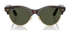 Ray-Ban CLUBMASTER WAY RB2341 Sunglasses / Black On Gold №901/31 / Green (3N 13.2%) / Size 54