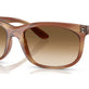 Striped Brown №140351