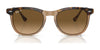 Ray-Ban EAGLEEYE RB2398 Sunglasses / Black On Transparent №129431 / Green (3N 13.2%) / Size 53