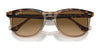 Ray-Ban EAGLEEYE RB2398 Sunglasses / Black On Transparent №129431 / Green (3N 13.2%) / Size 53