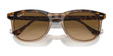 Ray-Ban EAGLEEYE RB2398 Sunglasses