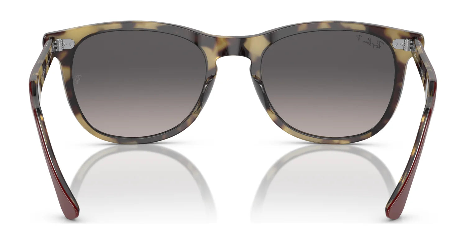 Ray-Ban EAGLEEYE RB2398 Sunglasses