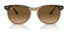 Ray-Ban EAGLEEYE RB2398F Sunglasses | Size 53 / Black №901/31 / Green (3N 13.2%)