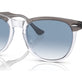 Grey On Transparent №13553F