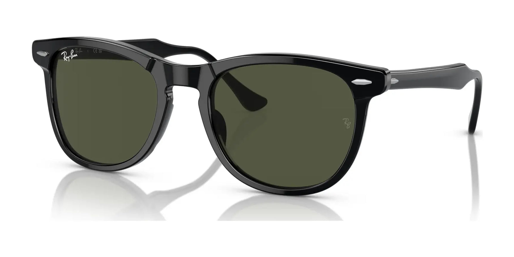 Ray-Ban EAGLEEYE RB2398F Sunglasses Black / Green