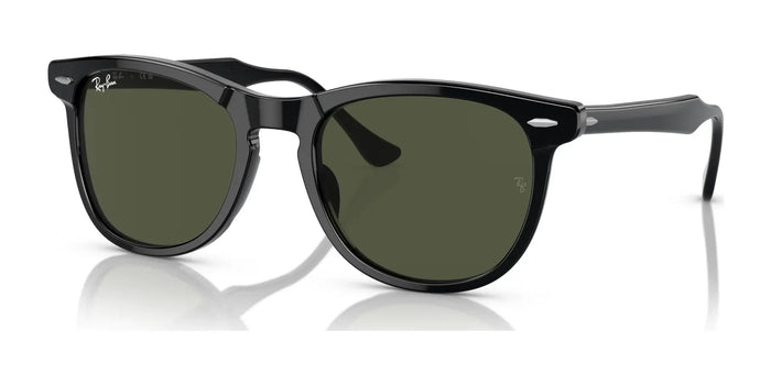 Ray-Ban EAGLEEYE RB2398F Sunglasses | Size 53 / Black №901/31 / Green (3N 13.2%)