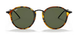 Ray-Ban ROUND RB2447 Sunglasses | Size 49